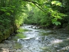 Dateiname : 24.jpg
Dateigröße : 228KB
Abmessungen : 500x375
hinzugefügt am : 13.Juni 2011 24.jpg