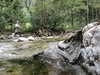 Filename=Donnersbach-500-28.jpg
Filesize=222KB
Dimensions=500x375
Date added=Sep 25, 2012 Donnersbach-500-28.jpg