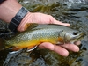 Dateiname : Donnersbach-500-43.jpg
Dateigröße : 212KB
Abmessungen : 500x375
hinzugefügt am : 25.September 2012 Donnersbach-500-43.jpg