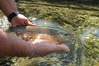 Dateiname : DonnersbachII-500-36.jpg
Dateigröße : 191KB
Abmessungen : 500x333
hinzugefügt am : 09.August 2013 DonnersbachII-500-36.jpg