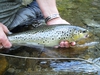 Dateiname : DonnersbachII-500-62.jpg
Dateigröße : 299KB
Abmessungen : 600x450
hinzugefügt am : 09.August 2013 DonnersbachII-500-62.jpg