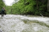 Filename=Pongauer Taurach-500-34.jpg
Filesize=188KB
Dimensions=500x333
Date added=Jul 06, 2016 Pongauer Taurach-500-34.jpg