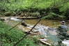 Dateiname : Pongauer Taurach-500-53.jpg
Dateigröße : 210KB
Abmessungen : 500x333
hinzugefügt am : 06.Juli 2016 Pongauer Taurach-500-53.jpg